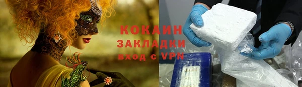 крисы Павловск