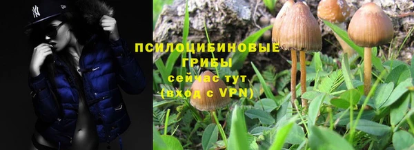 ALPHA PVP Алексин