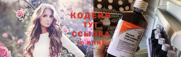 гашик Алзамай