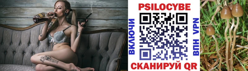 Псилоцибиновые грибы GOLDEN TEACHER blacksprut онион это телеграм Каневская